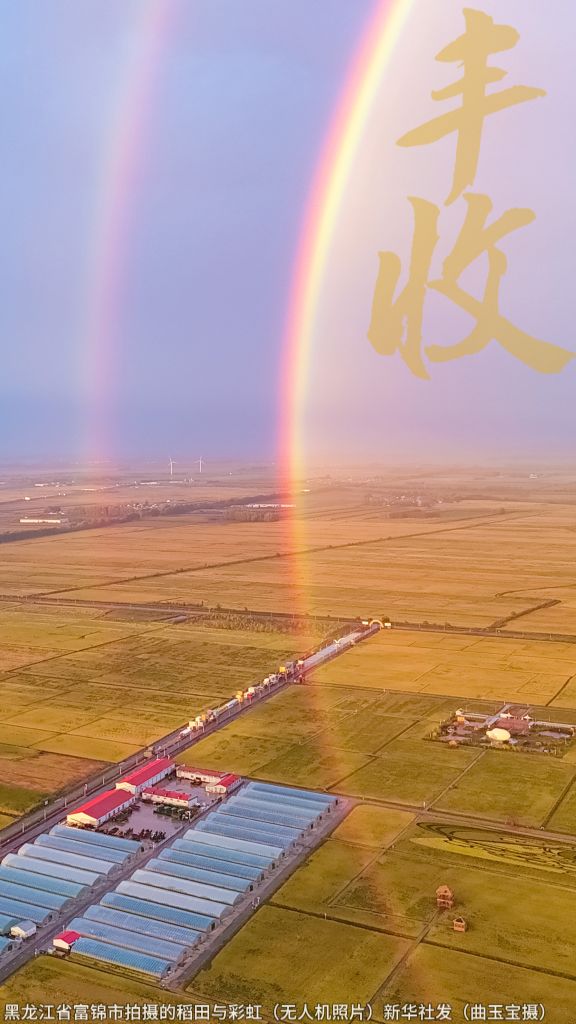 建议收藏,丰收的中im官网国，每一帧都是壁纸