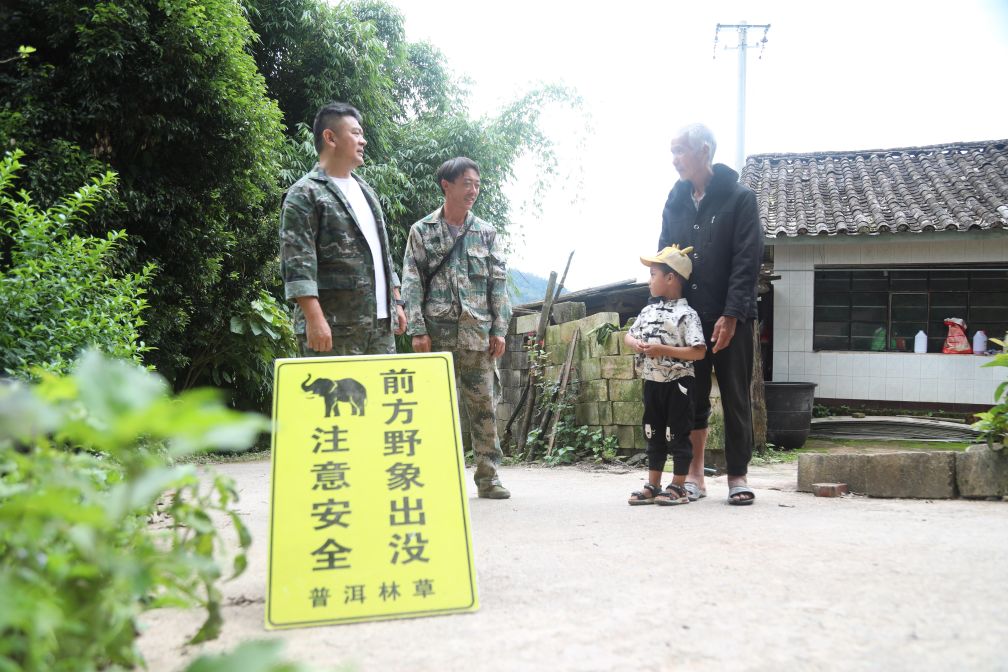 云南宁洱：为野imToken钱包生大象保驾护航