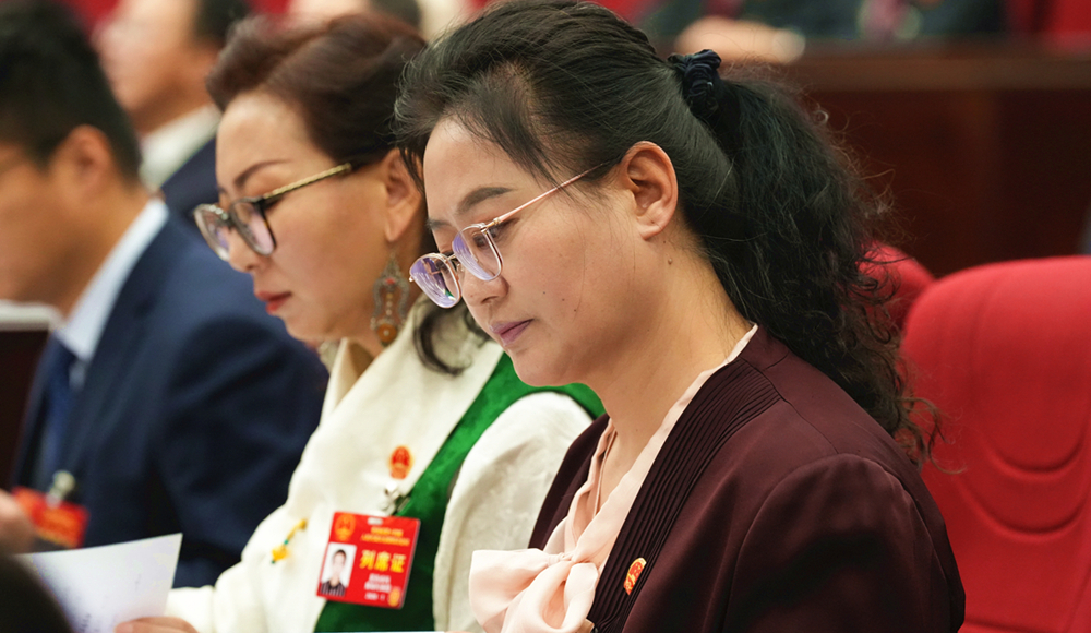 青海省第十四届人民代表大会第四次会议