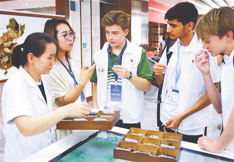 10月3日，来自新西兰的青少年在三亚国际友好中医疗养院学习认识中药材。海南日报全媒体记者 王程龙 摄
