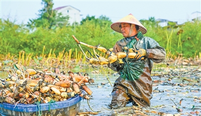  假日保供的温暖im钱包官网底色（新时代画卷）