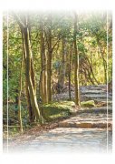  一脚跨两省 一步im官网五百年（古道春秋）