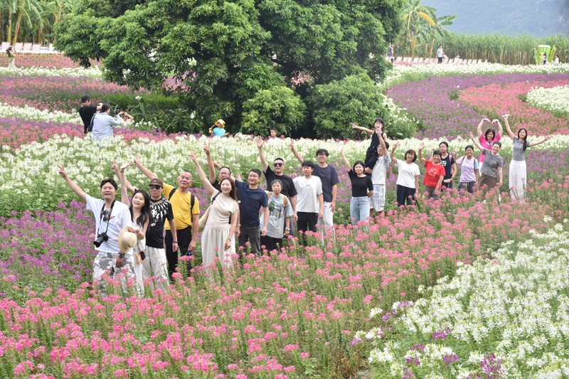 国庆出游热度不减 大新im钱包官网峒那屿湾景区迎来客流高峰