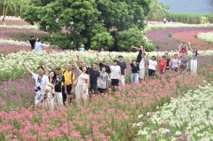 国庆出游热度不减 大新im钱包官网峒那屿湾景区迎来客流高峰