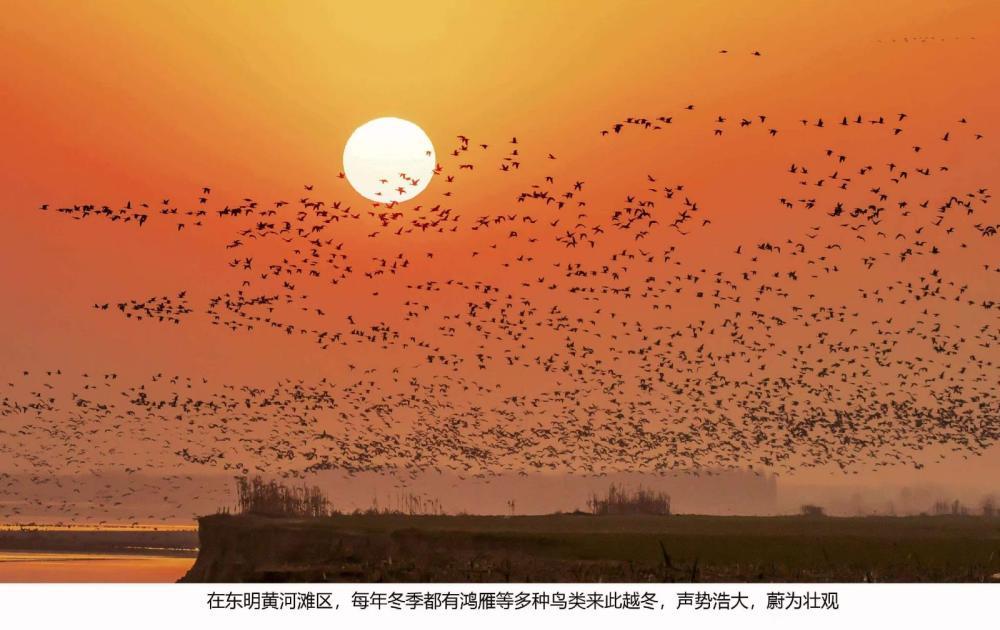 透过它们的眼睛，看imToken钱包见一个更有温度的山东
