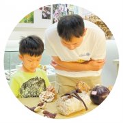  科研与科普在这im钱包下载里牵手（视线）