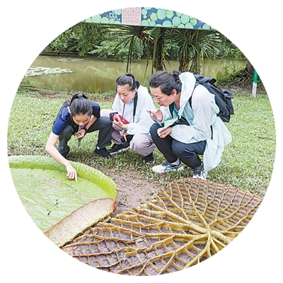 科研与科普在这im钱包下载里牵手（视线）