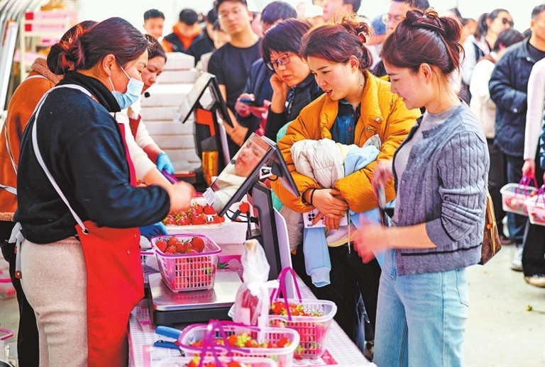 河南“精品果篮imToken”是怎样炼成的？