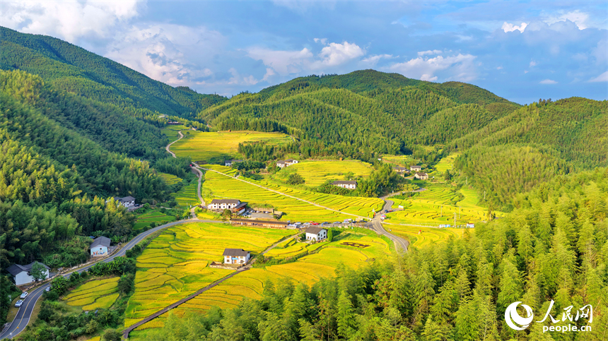 赣州市崇义县上堡乡，梯田层层叠叠，乡村秋日风景如画。人民网记者 朱海鹏摄